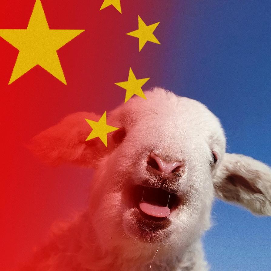 小关村羊肉弟史大鹏