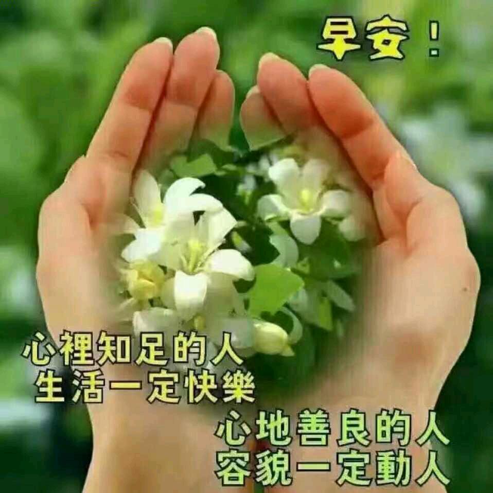 静观其变