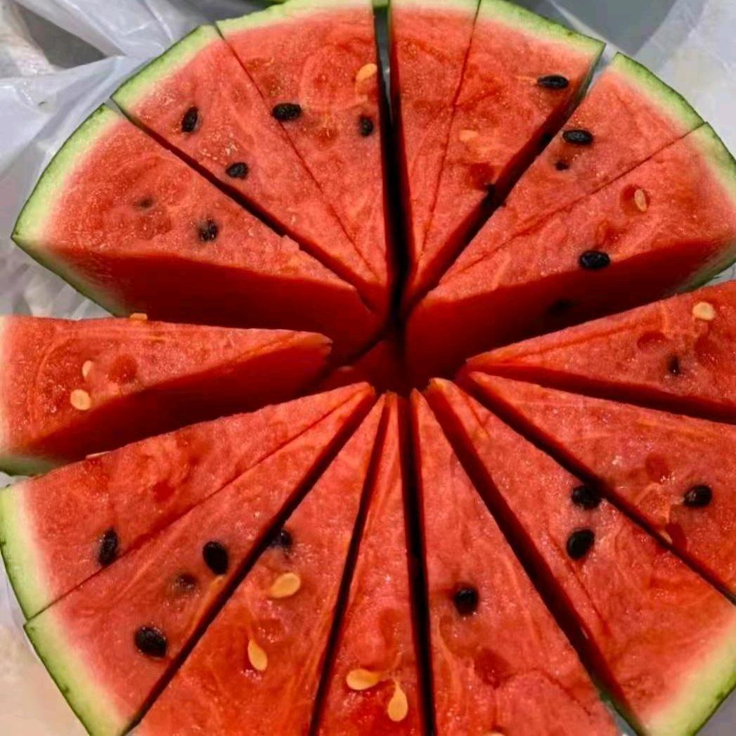 顺发-专业西瓜代购