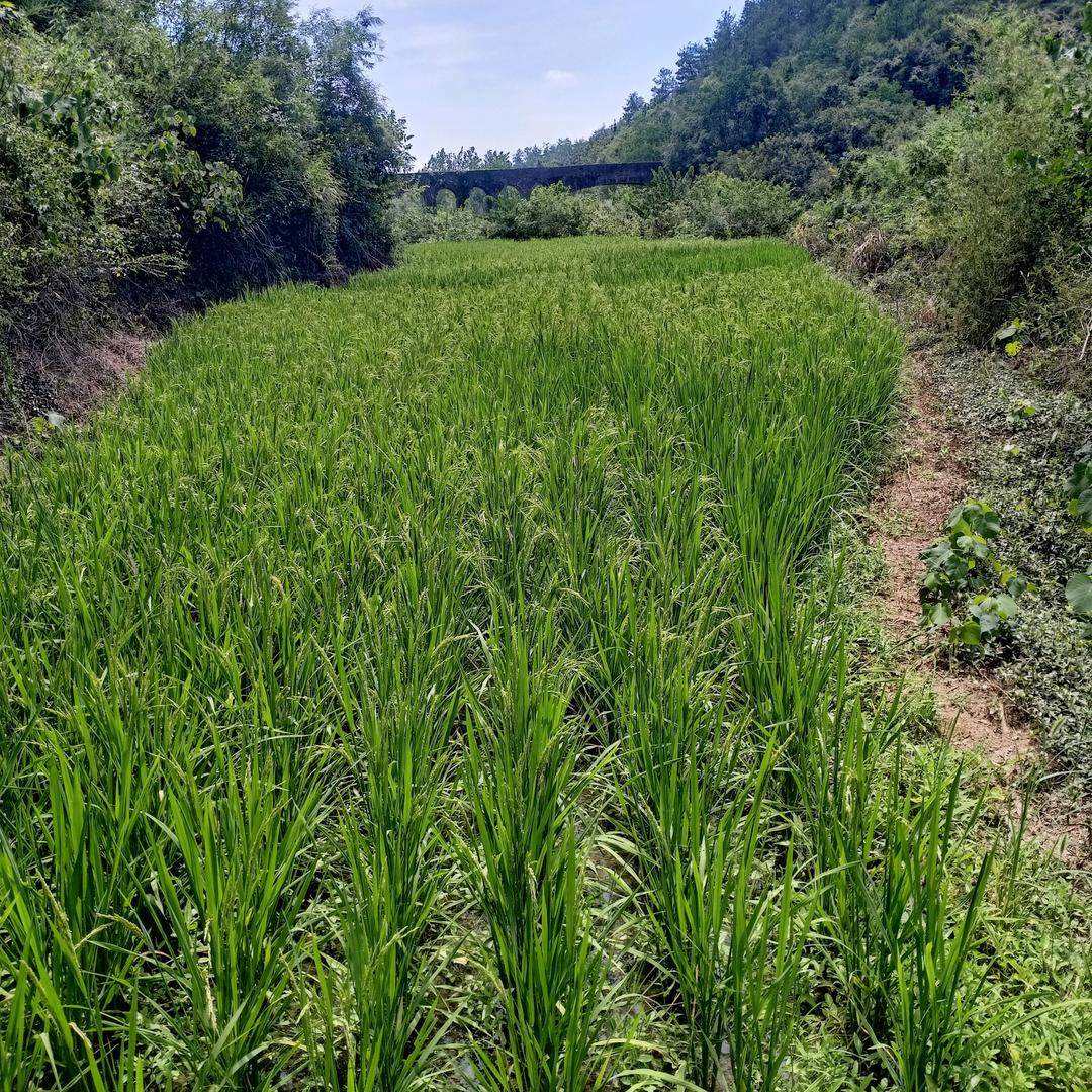 靠自己
