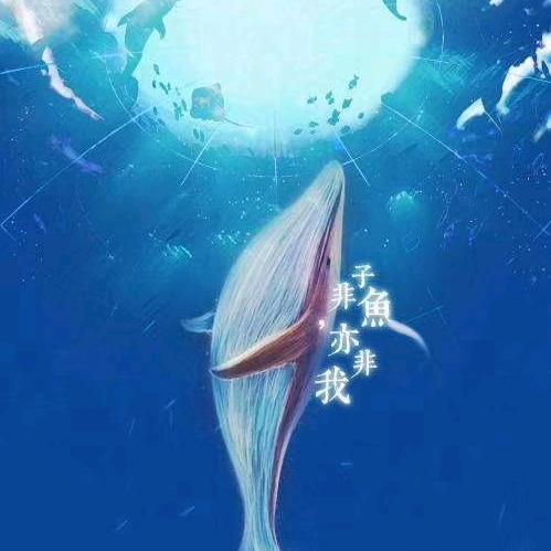 子非鱼🐠