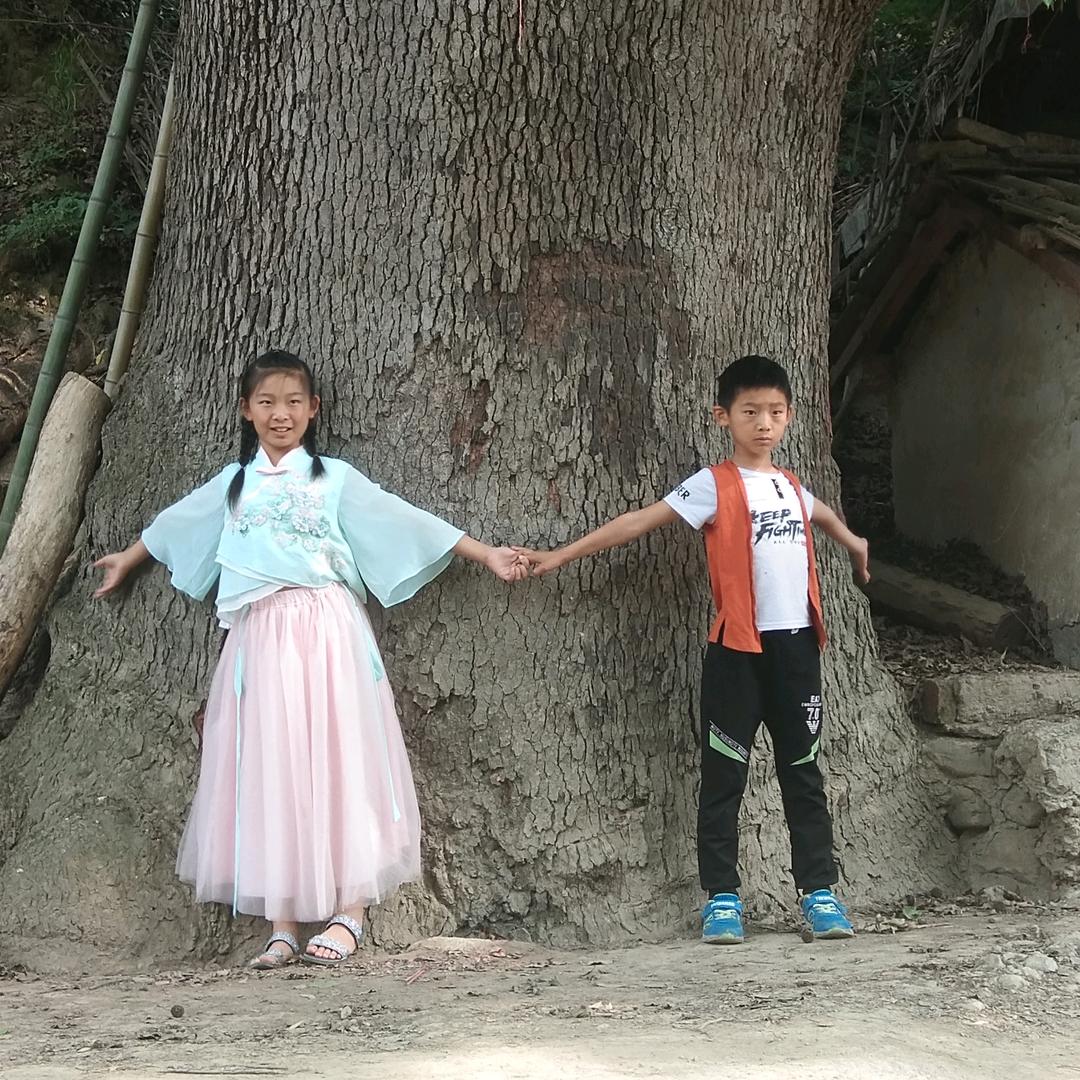 湖北装饰贺启华