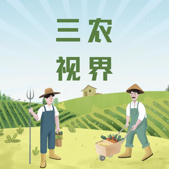 三农视界