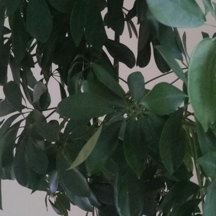 汇金源