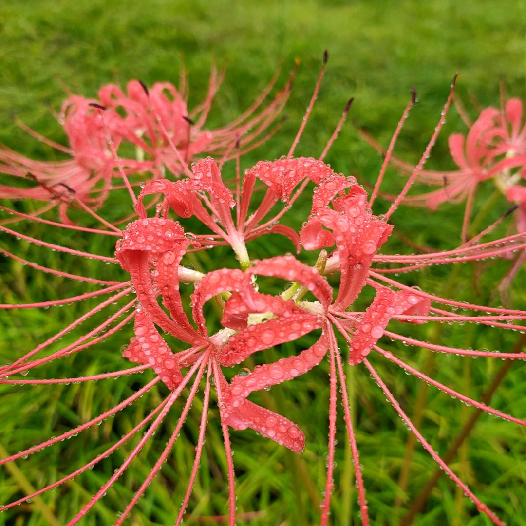 余生有李
