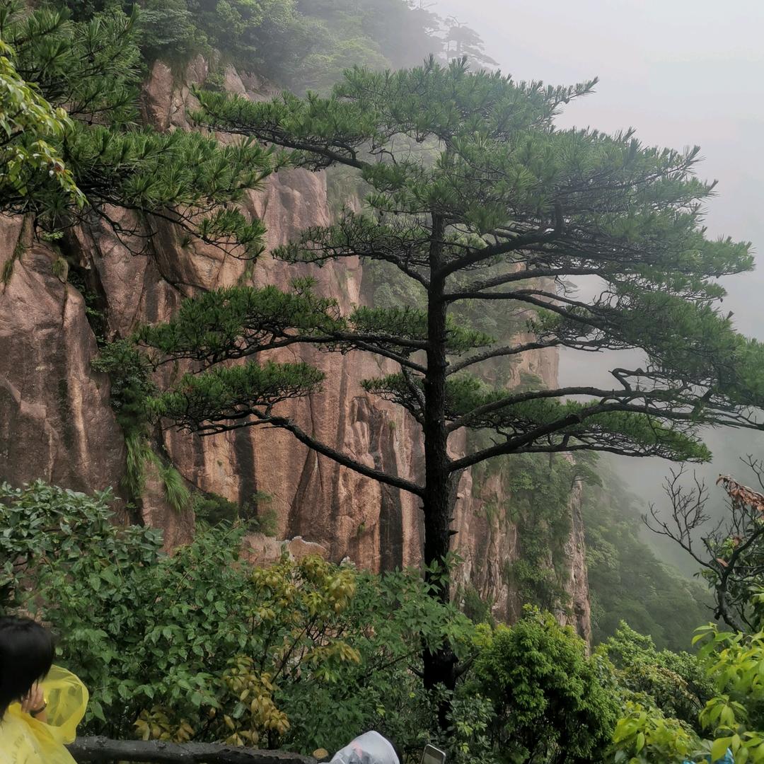@幸福的人