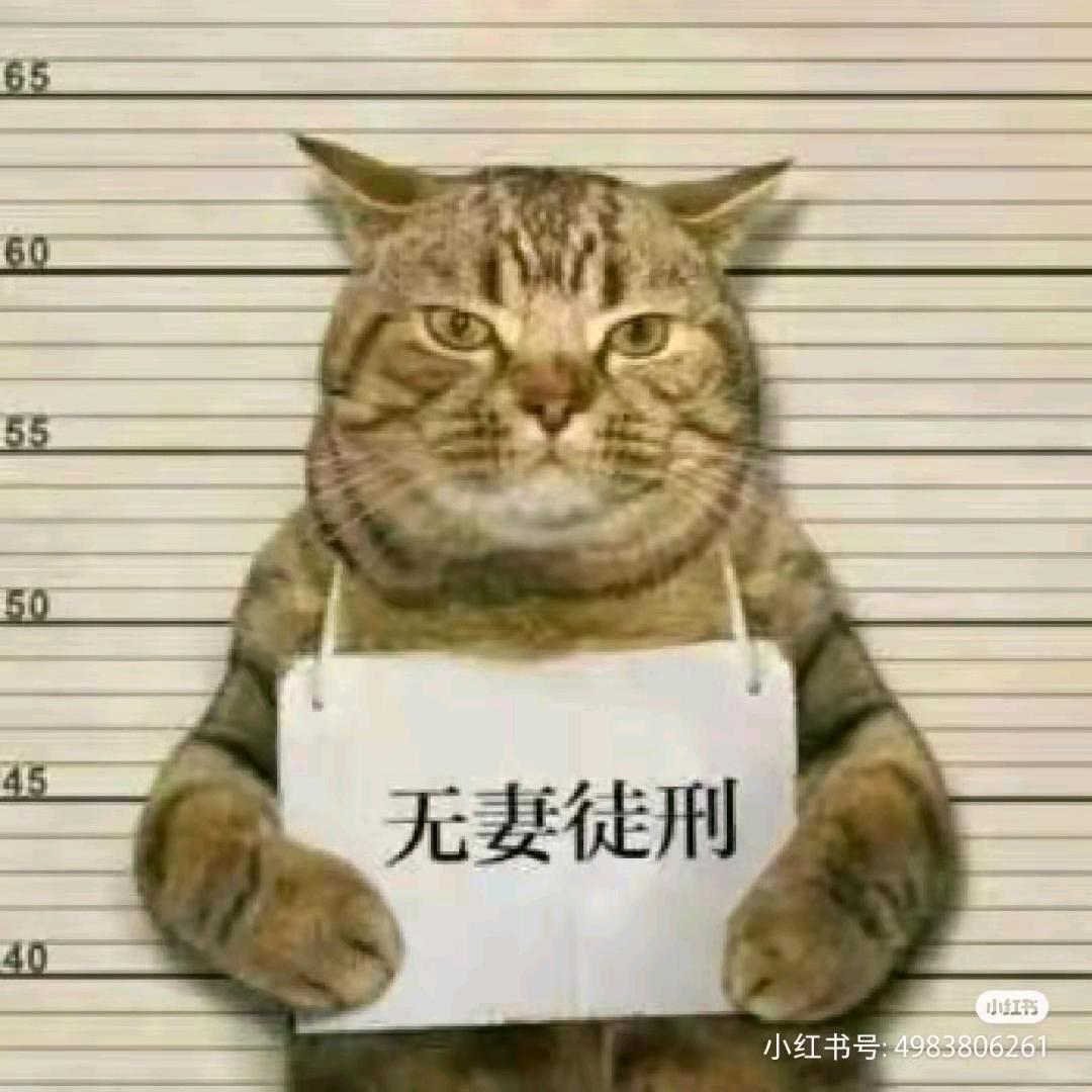 与你无关
