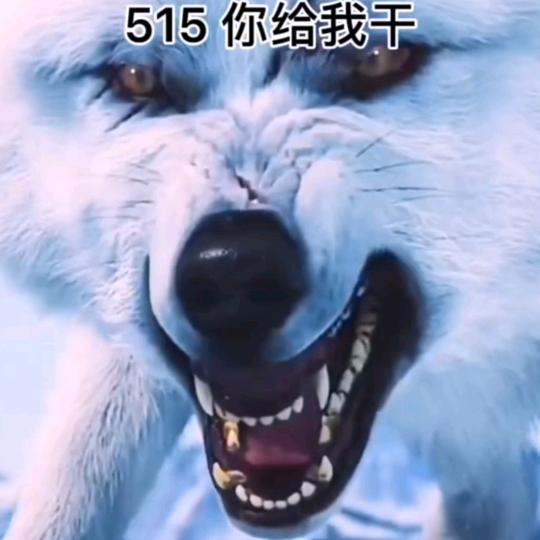 佛山焊亿家企业服务有限公司