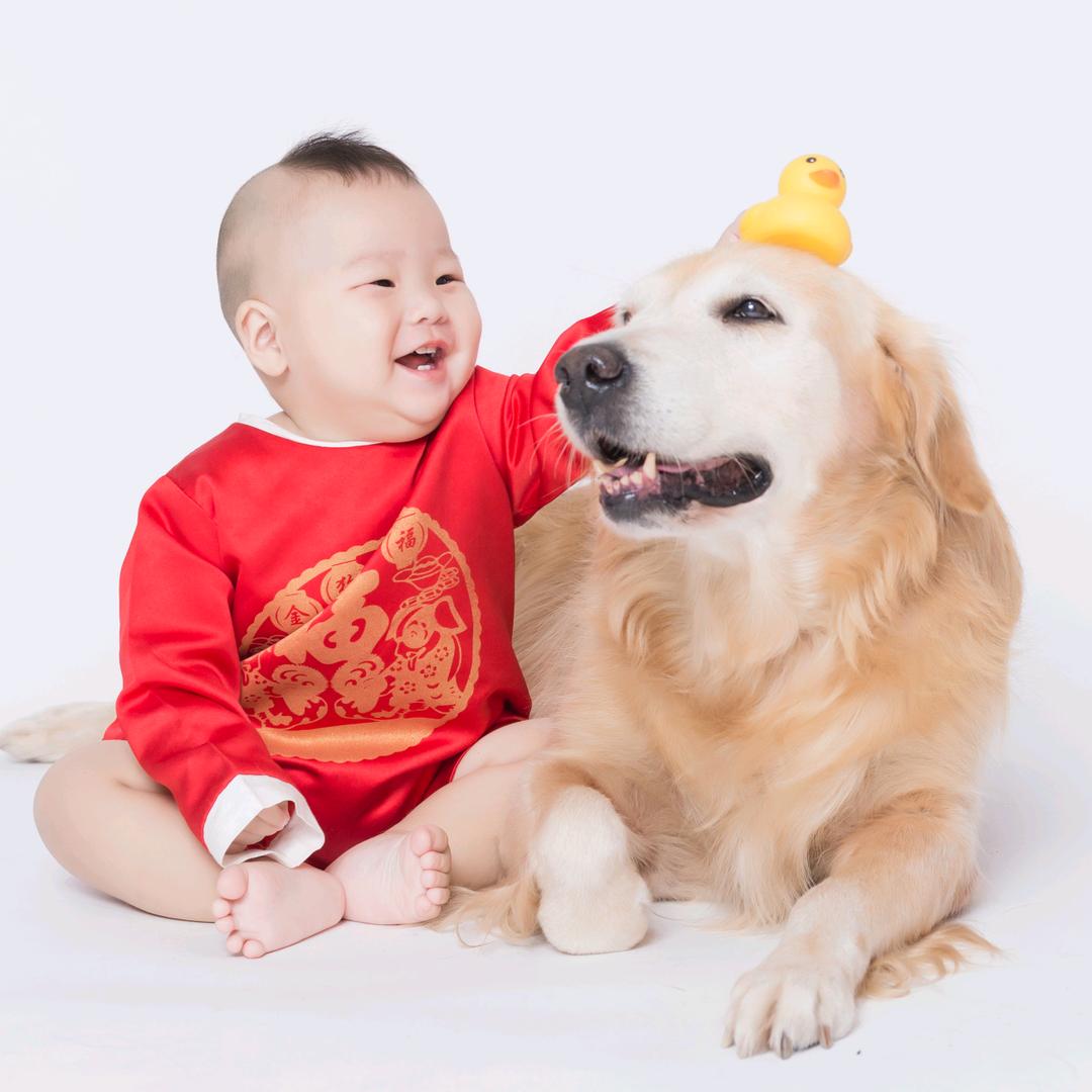 湖南省郴州市世静犬舍