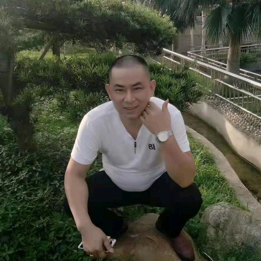 夜歌 陈向阳