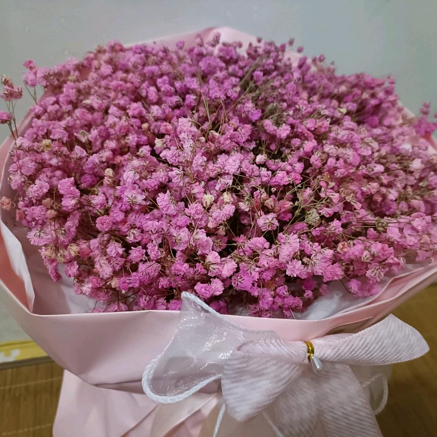 刘家小姐姐🌻💐