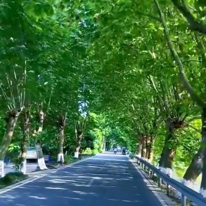 🎶百姓艺术音乐