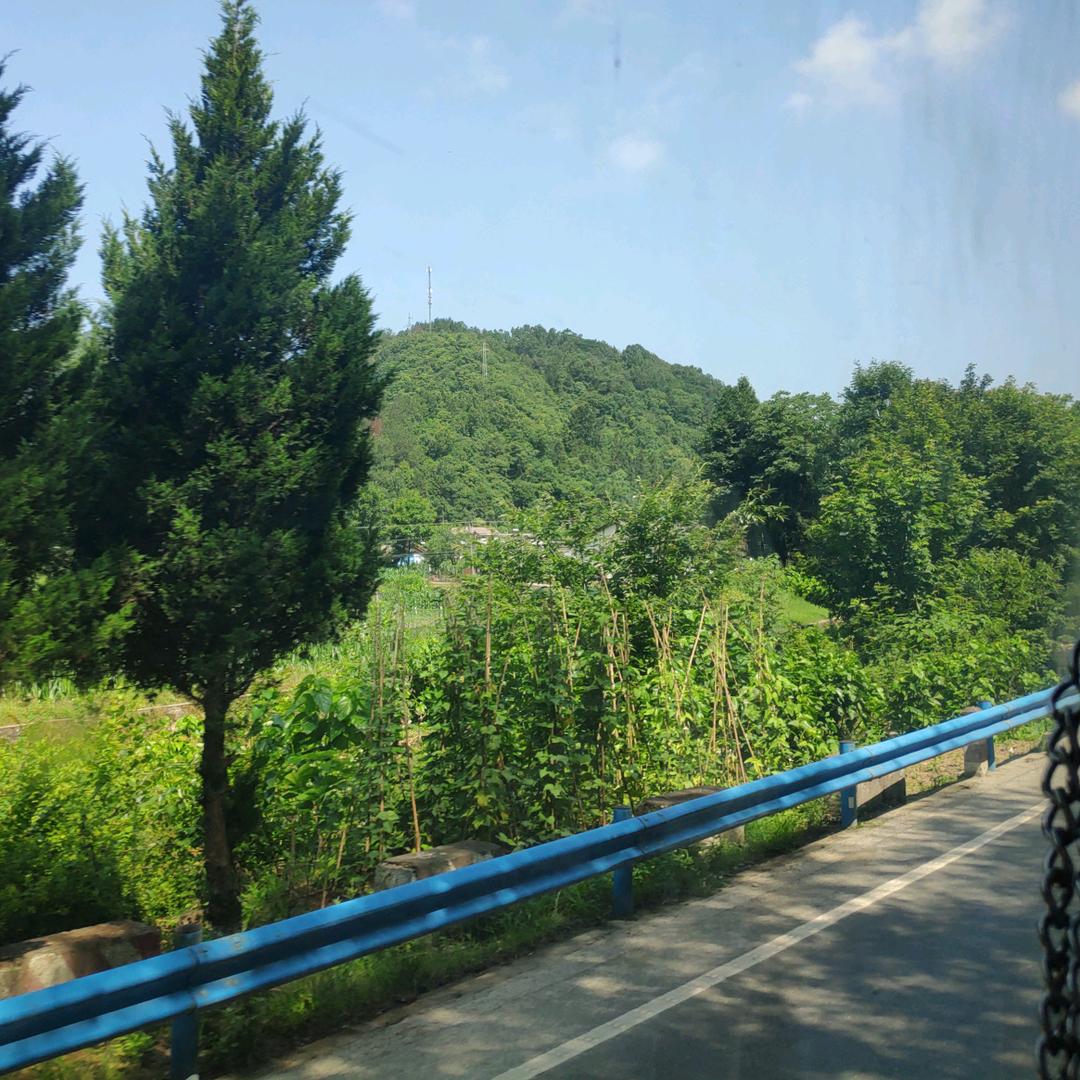 现代农夫