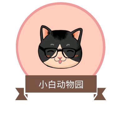 小白动物园