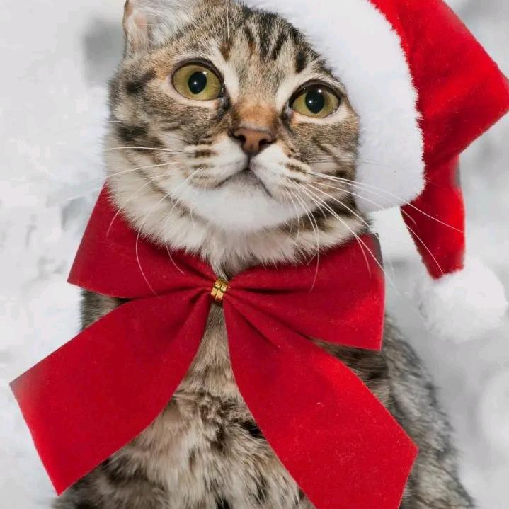 为爱流下伤心泪