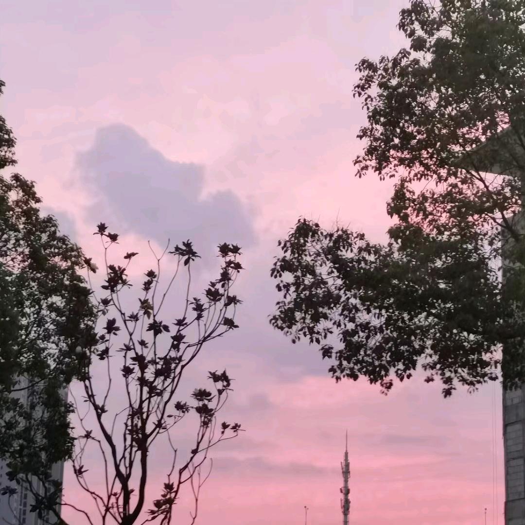 嘿嘿嘿嘿嘿嘿