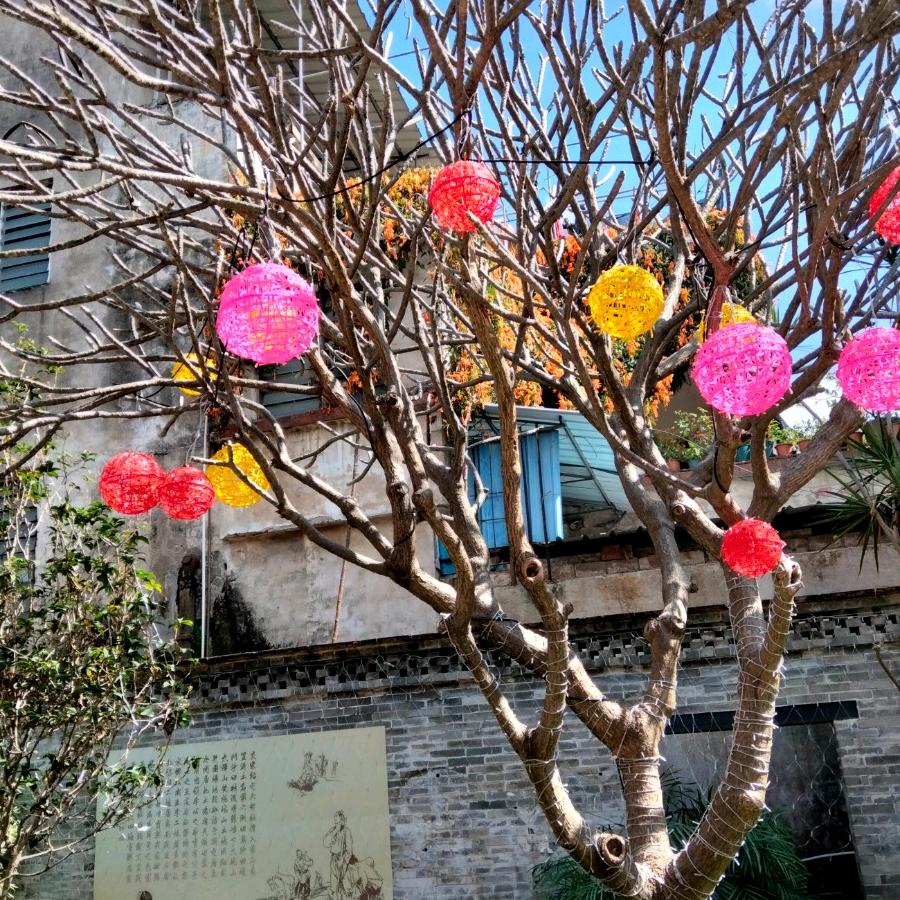 太阳花