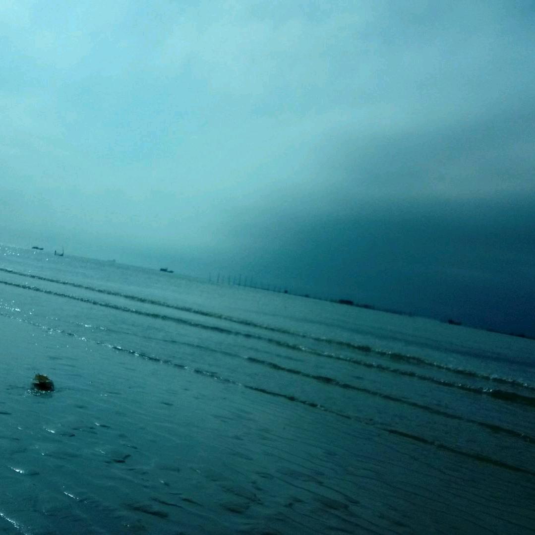 不说李