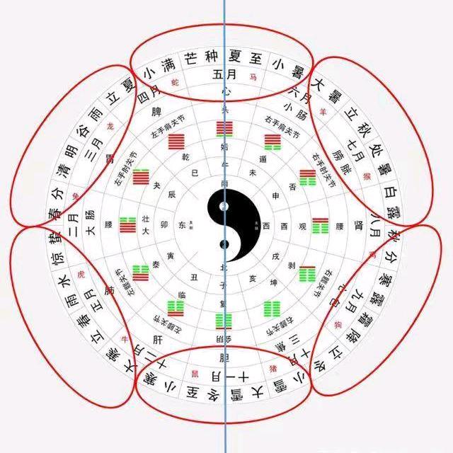 身体健康•不熬夜