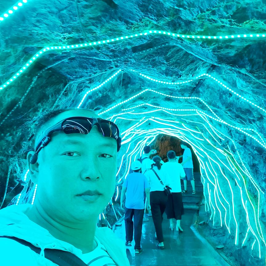 柳岸花明