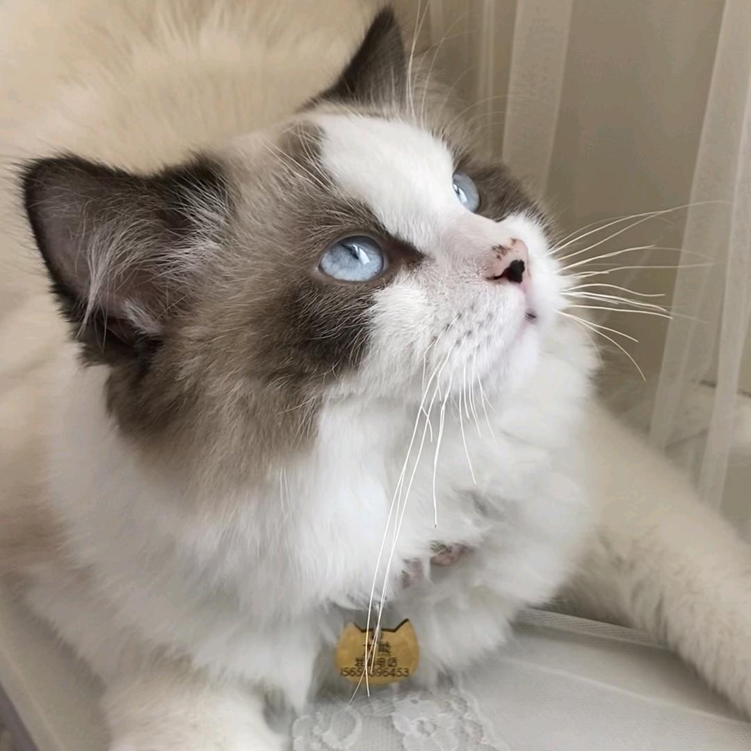 广德乐家房产-羊羊🏠