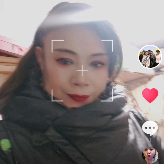 蓝芯