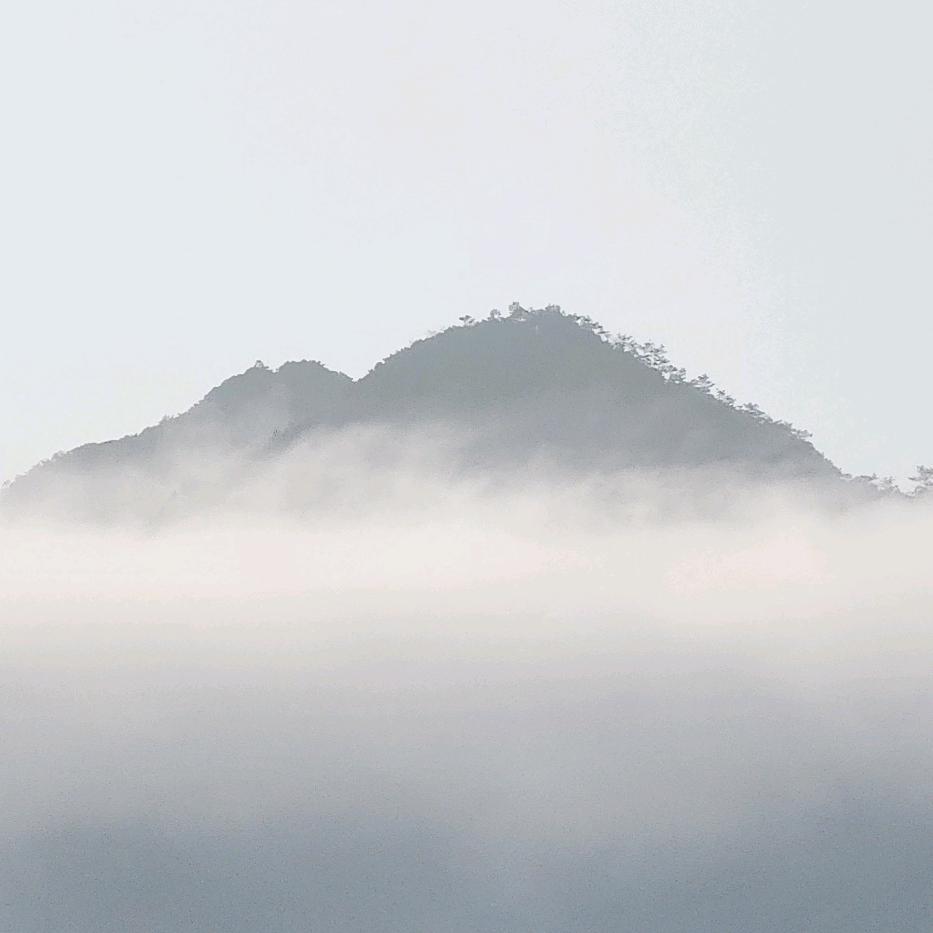 懿个核桃