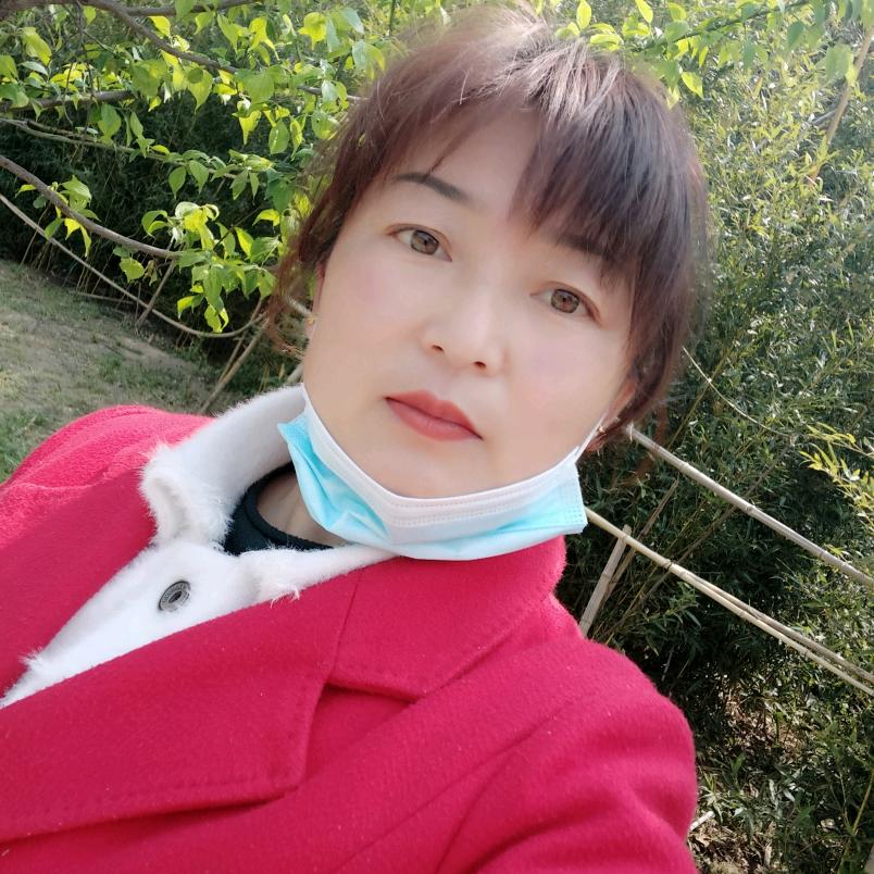 谈笑风生