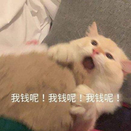 肆ぃ