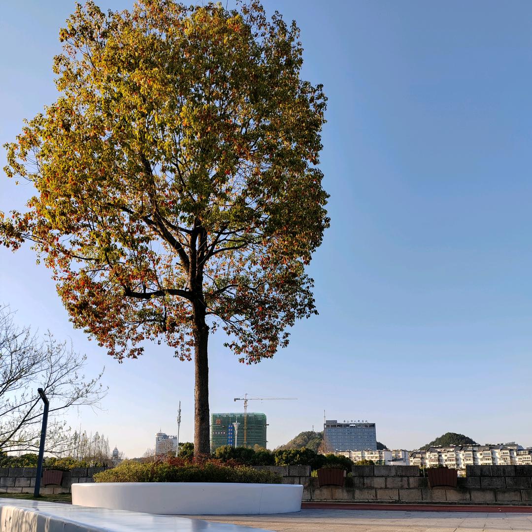 二师兄，为您服务🐲