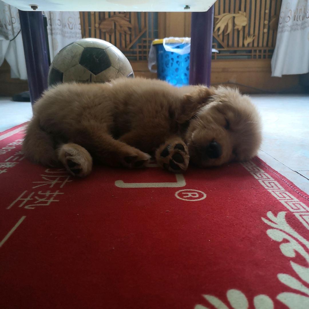一文一武