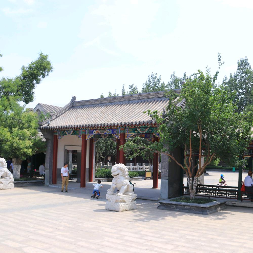 贲腾
