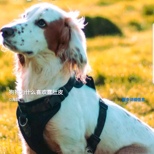 用户8548124368448