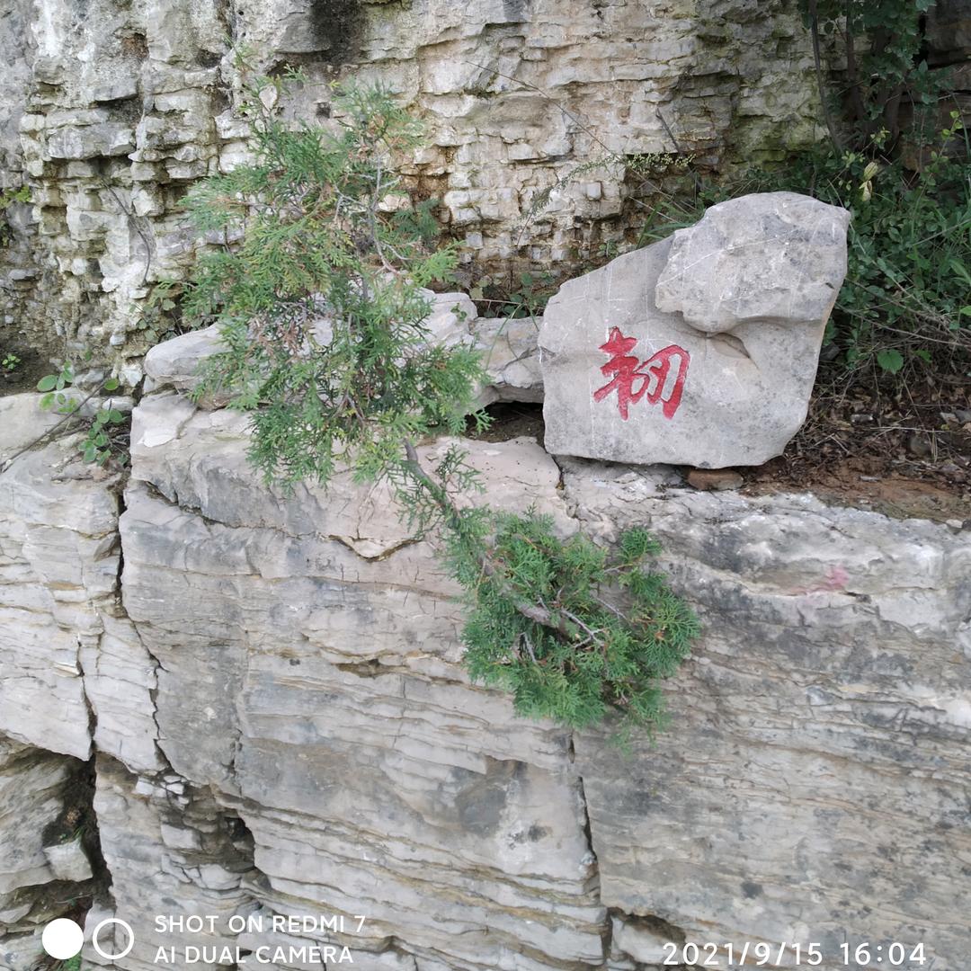 陶泉桥头存柱粮油