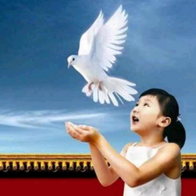 优优生活