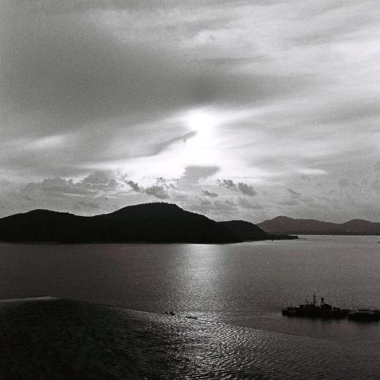 魚