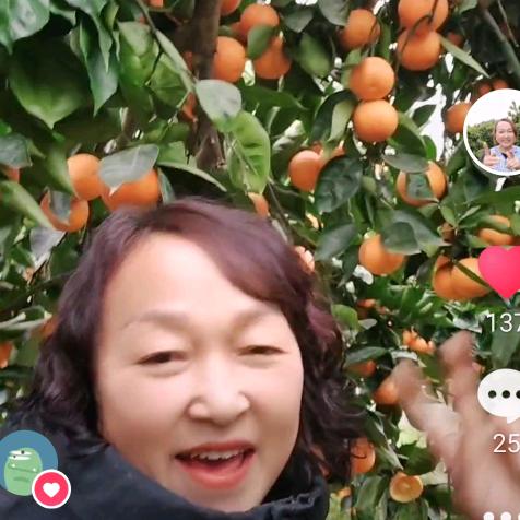 映山红农场谢姐