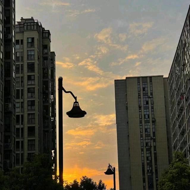 清晨    　　　　　　　　　╲