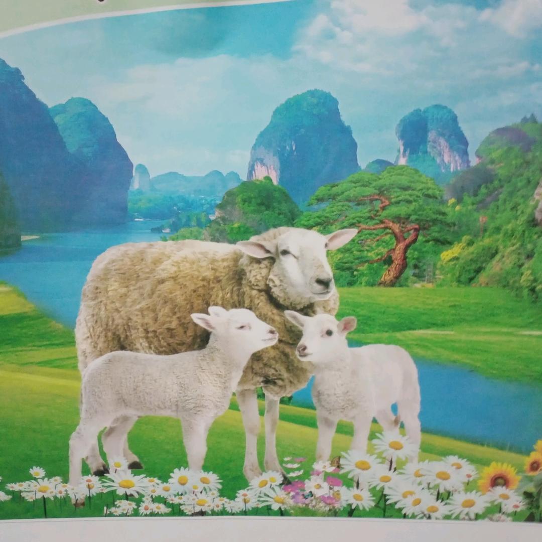 张元平