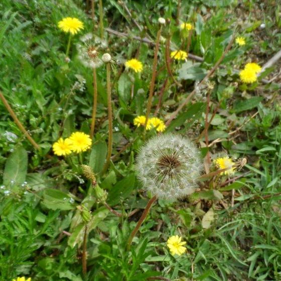 林静致远～石膏线