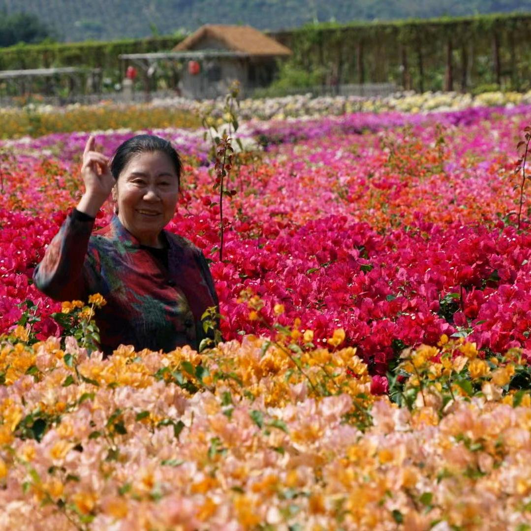 荷月