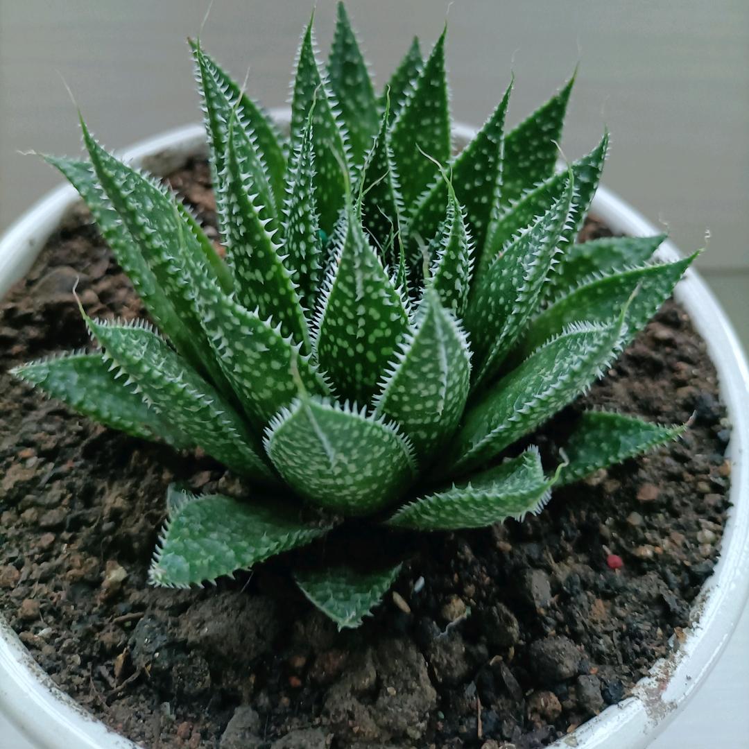 ♥🌻☆☆《浙江+湖州》☆☆♥🌻