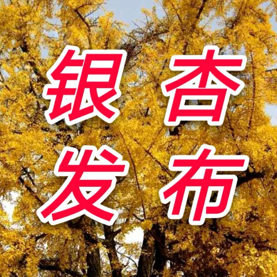 陇南徽县银杏树镇