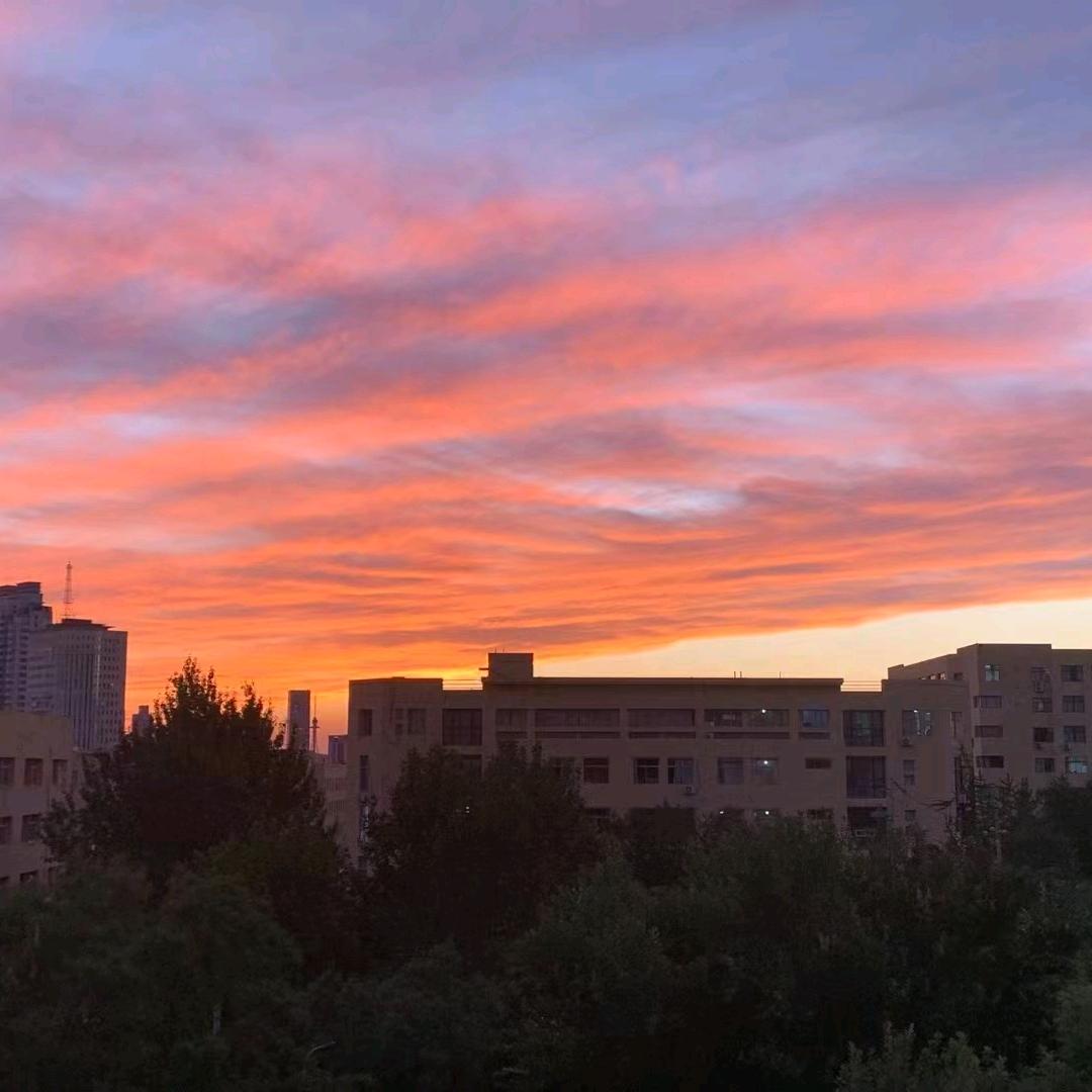 老二（蒲城县双迪农副产品收购部）