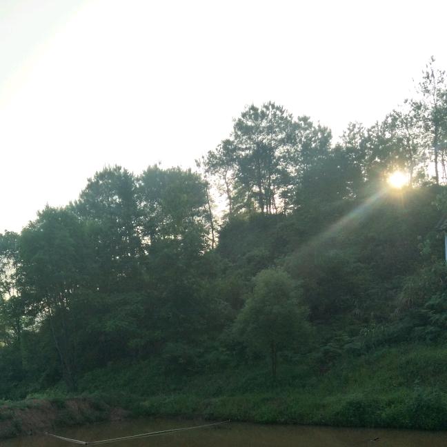 三哥（雨化田）