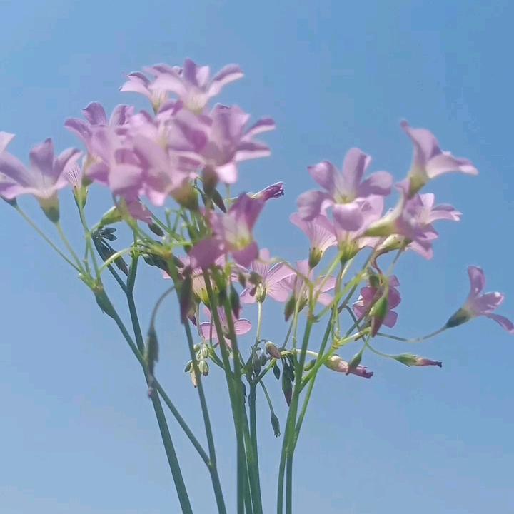 没想好就来了