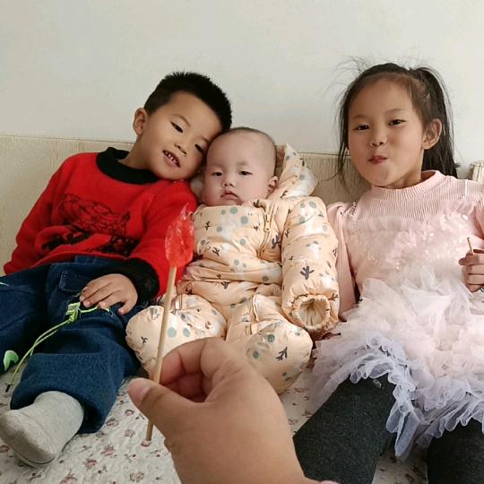湖北人在新疆