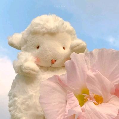 婷扬宝