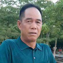 自由飞翔