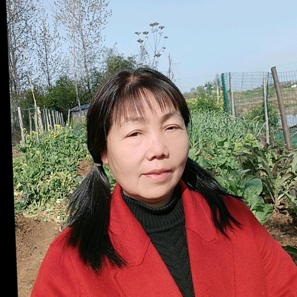 许萍姐